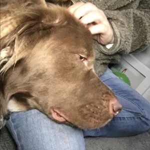 Meet your Posher, Monica